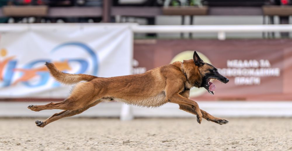 Photograph by Сергей Жиркевич