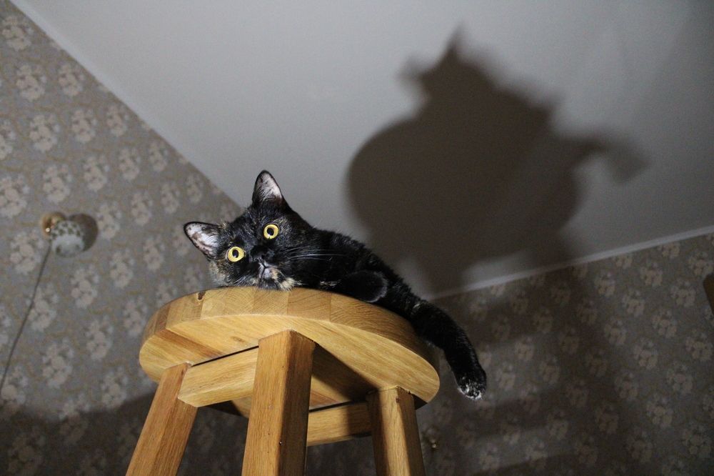 Фотография автора Иван Кириллов