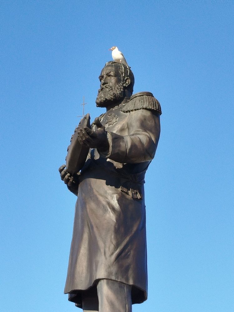 Академик и чайка.