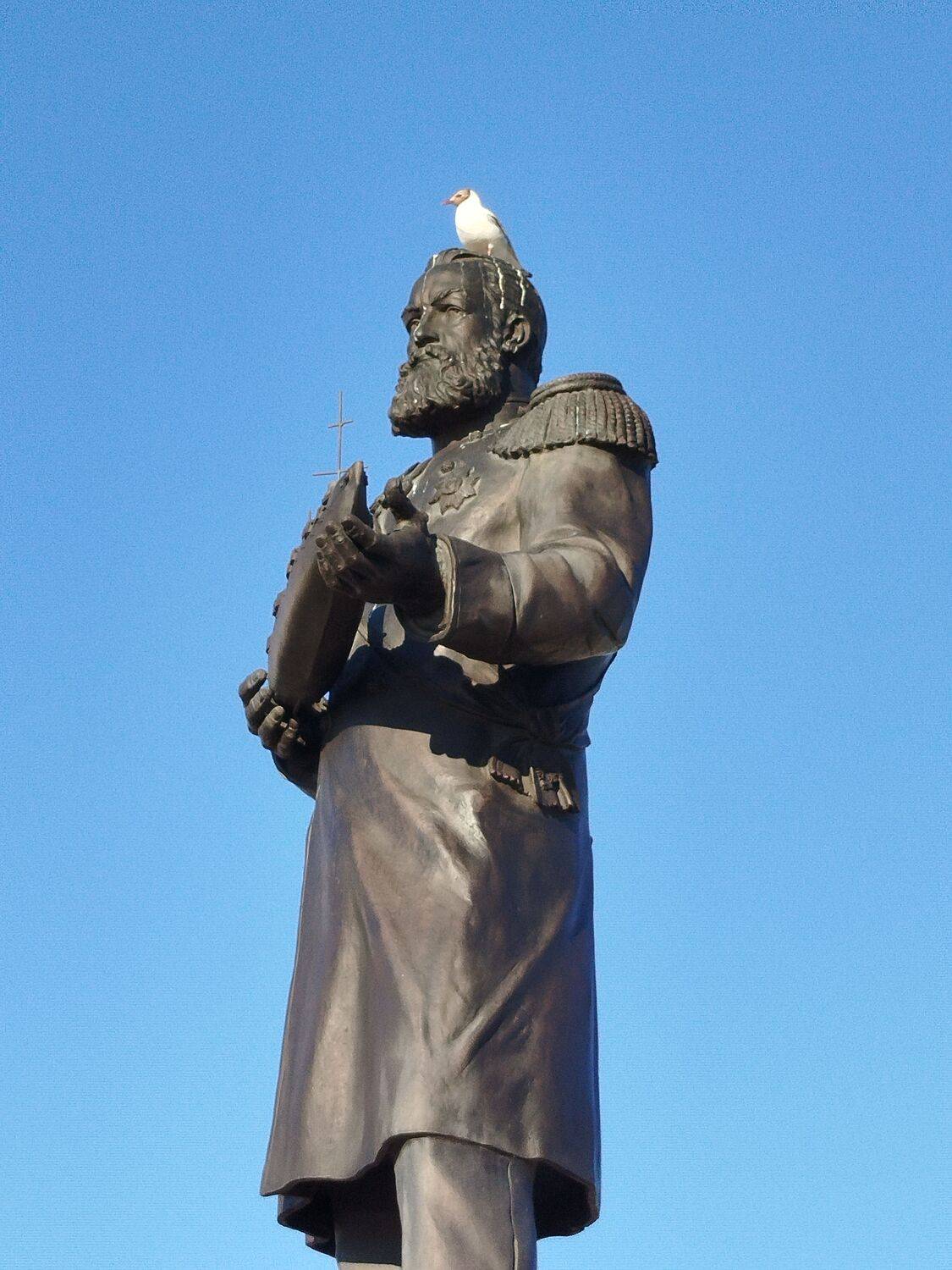 Академик и чайка.