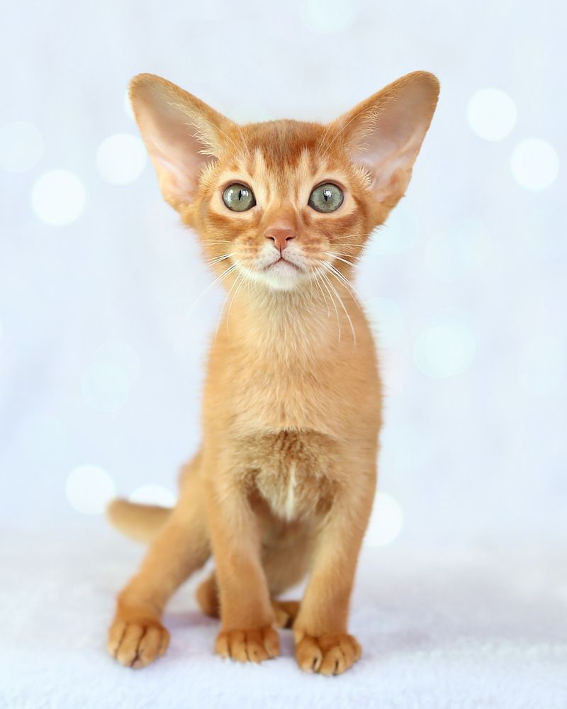 Photograph by Polina Manderson