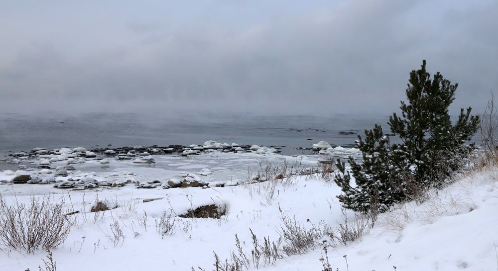 Photograph by елена