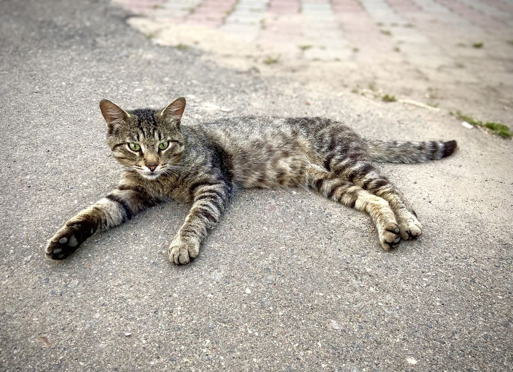 Photograph by Светлана Голикова