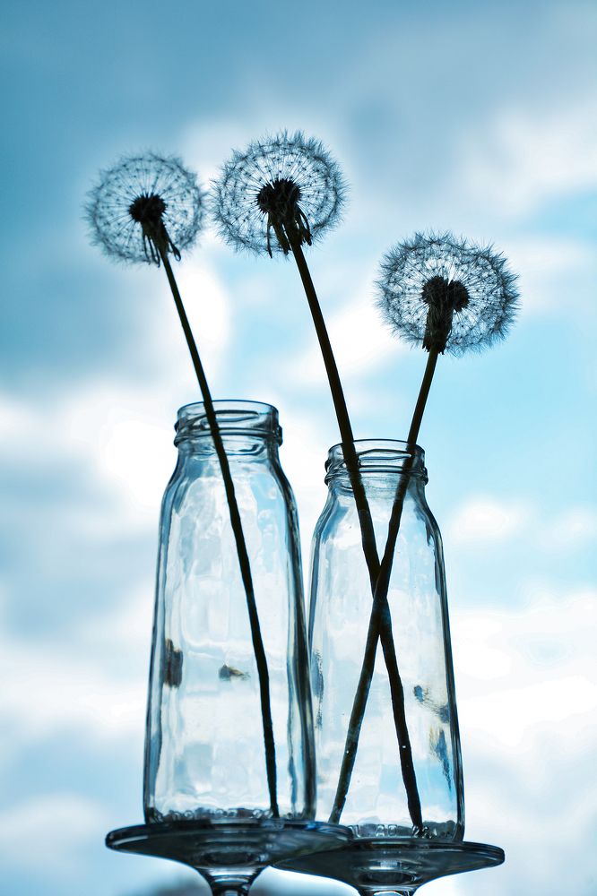 Photograph by Inna Ivanova