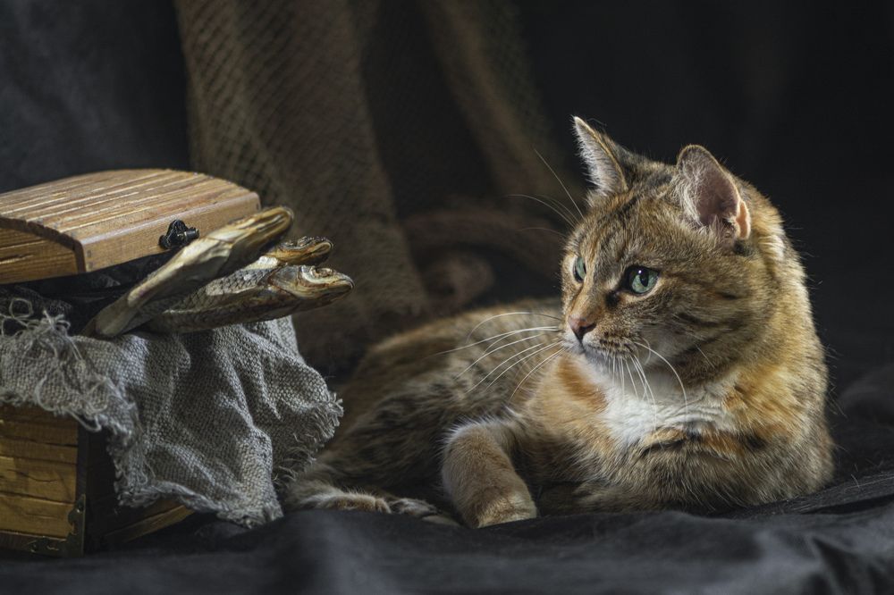 Photograph by Игорь Смирнов