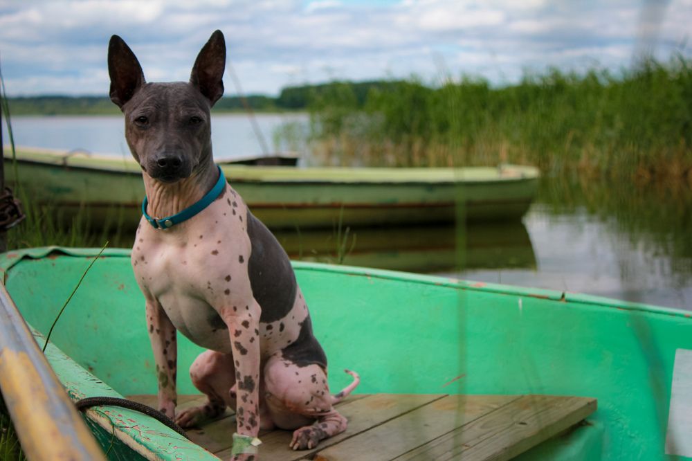 Photograph by Валерия