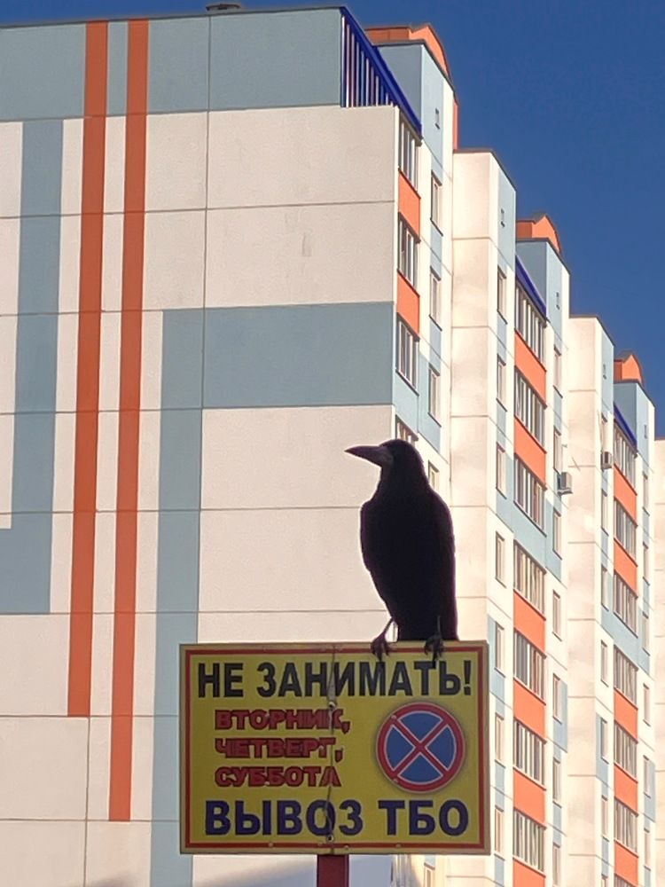 Photograph by Мария Карпычева