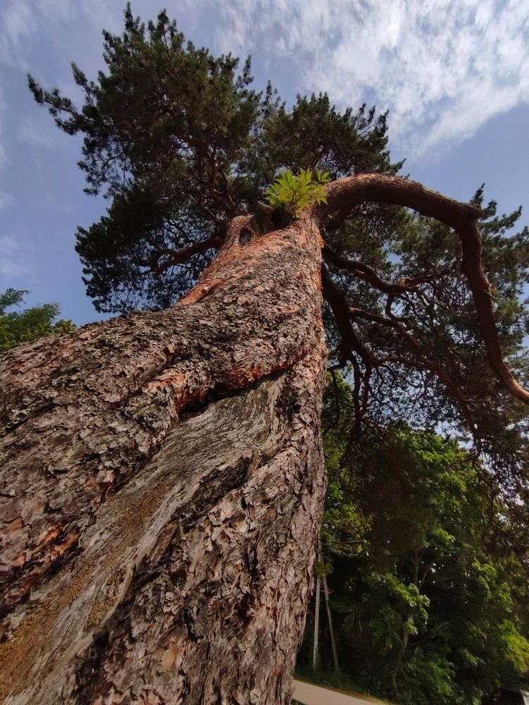 Photograph by Евгений Колтунов