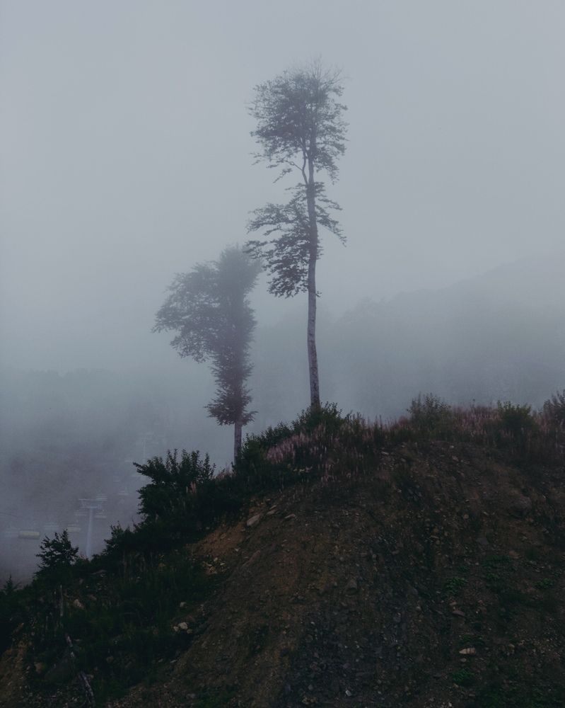 Photograph by Никита Петров