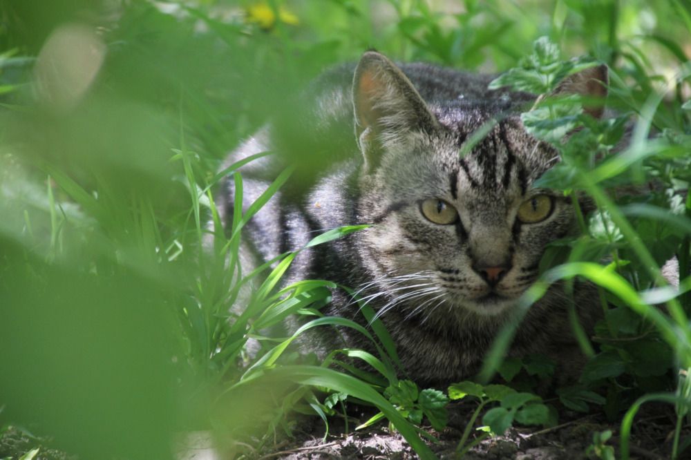 Photograph by Валерия