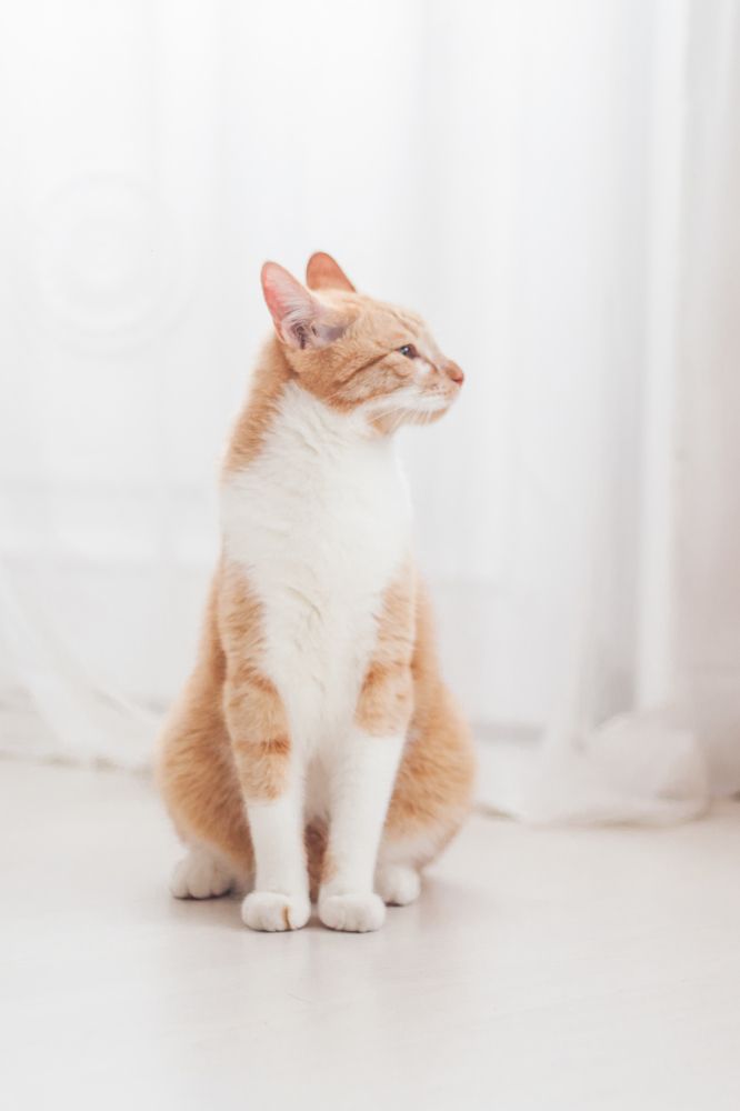 Photograph by Marina Moreva