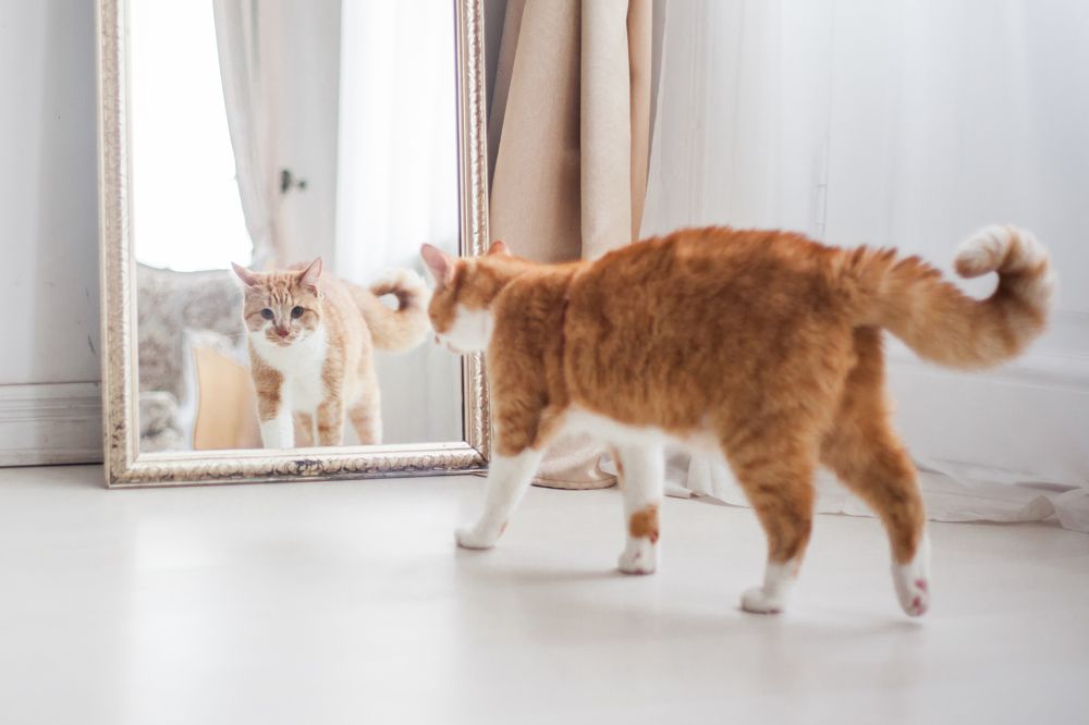 Photograph by Marina Moreva