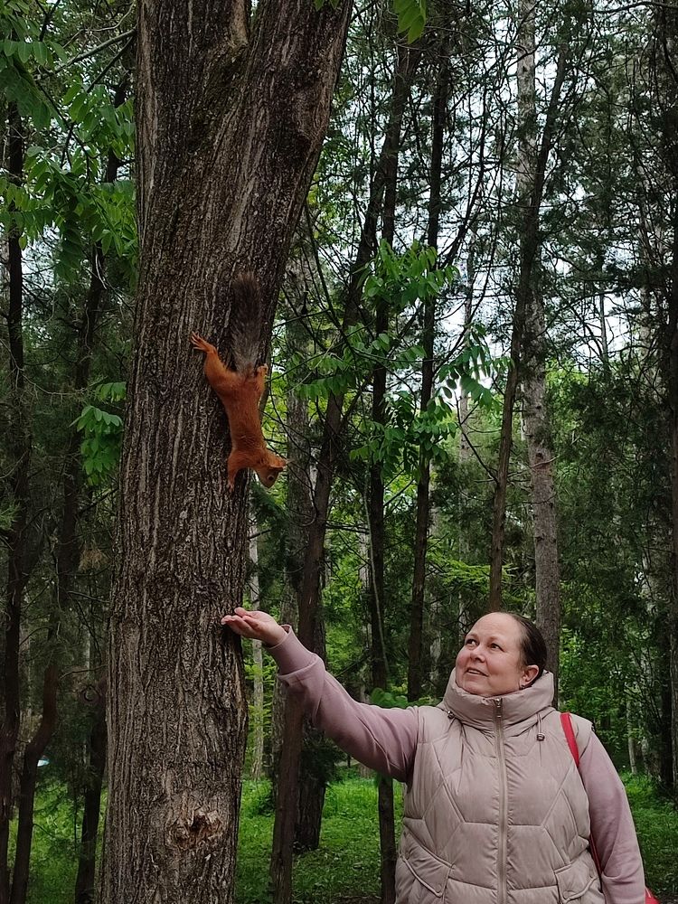 Photograph by Елена Горева