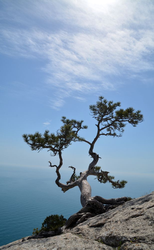 Photograph by Екатерина Крючкова