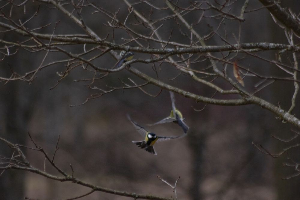 Photograph by Артём Трифонов