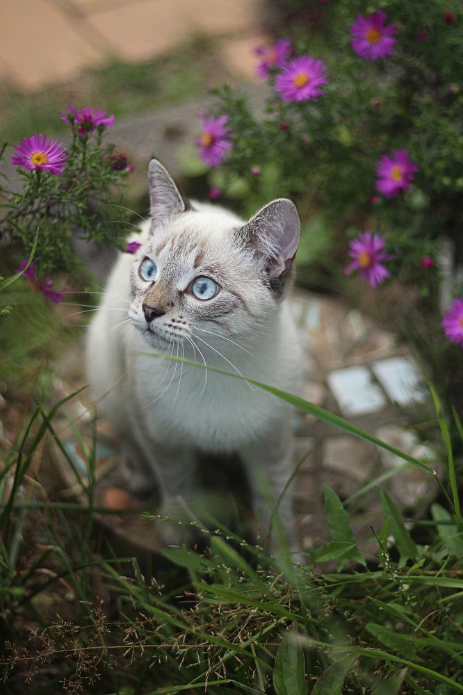 Photograph by надежда максимова
