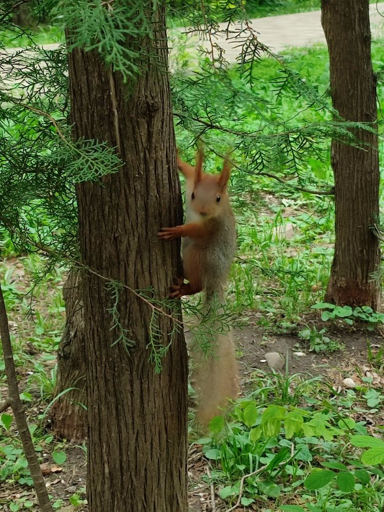 Photograph by Елена Горева