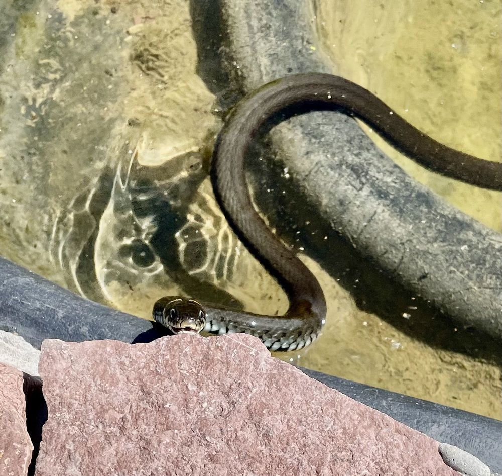 Photograph by Олег Китаев