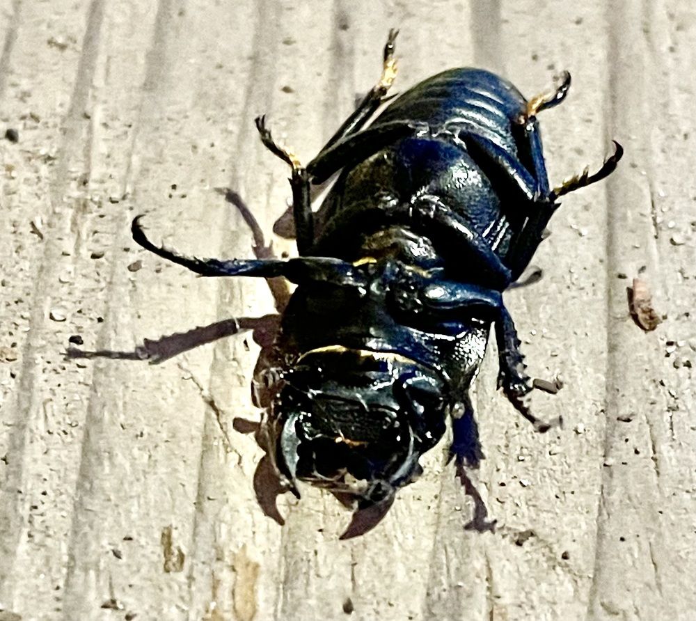 Photograph by Олег Китаев