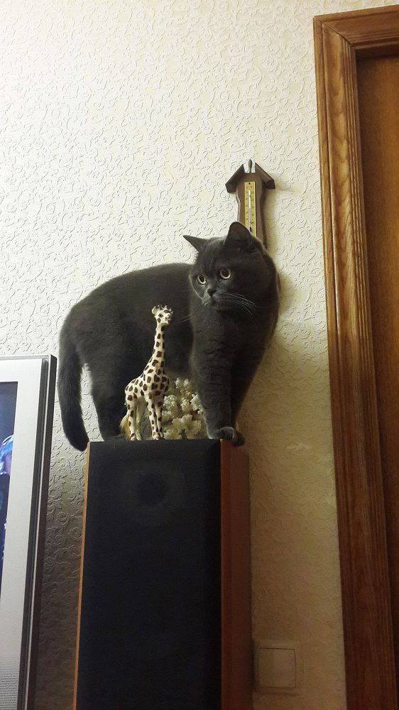 Я статуэтка...)