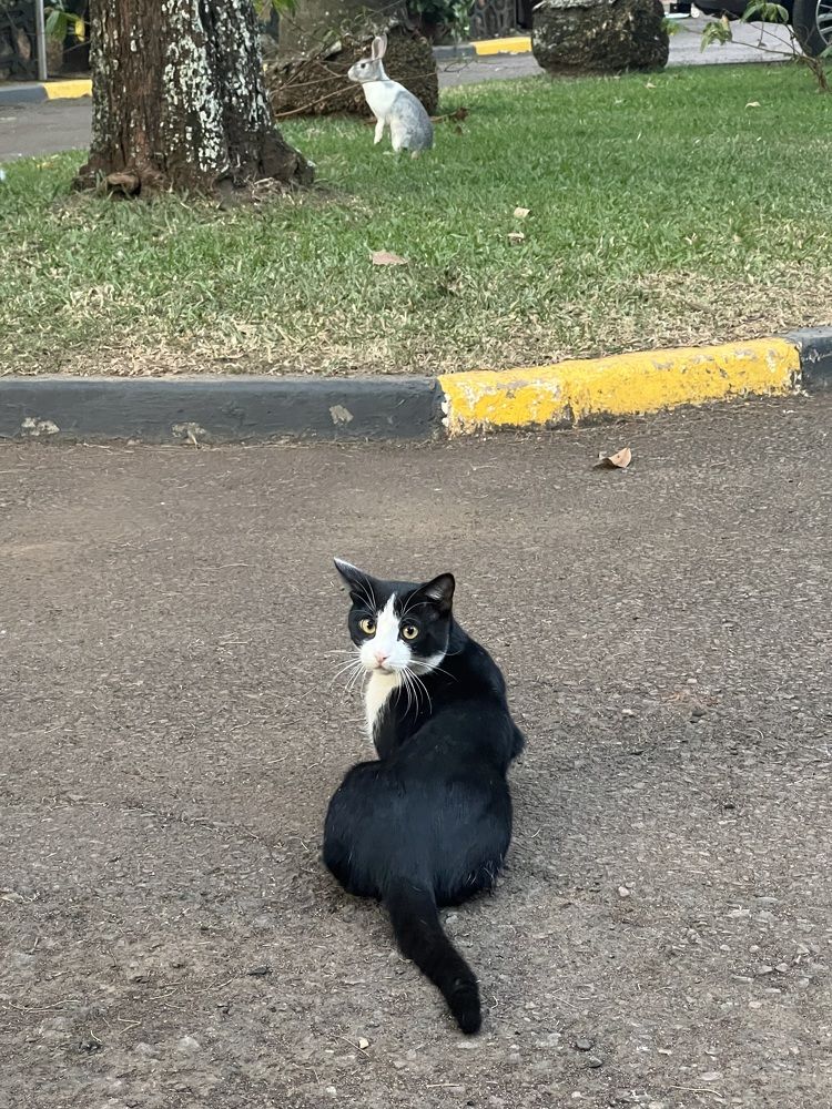 Photograph by Somdev Sen