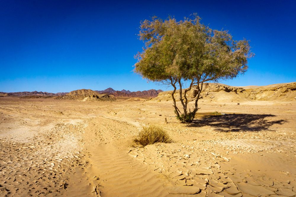 Photograph by Юрий Можейко