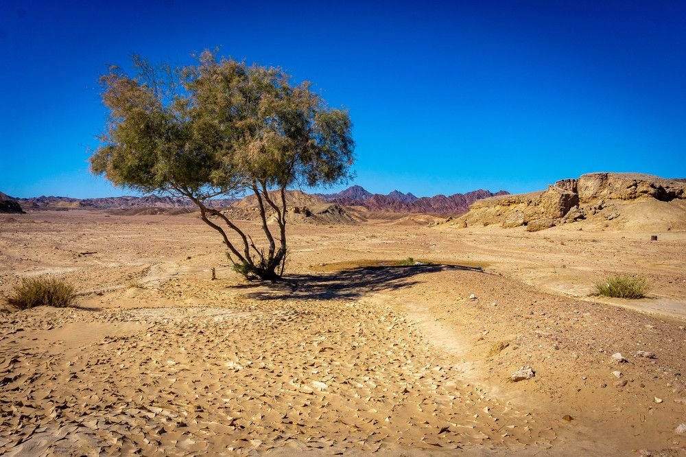 Photograph by Юрий Можейко