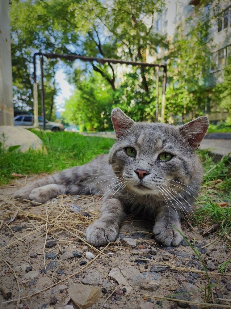 Photograph by Сергей Петров