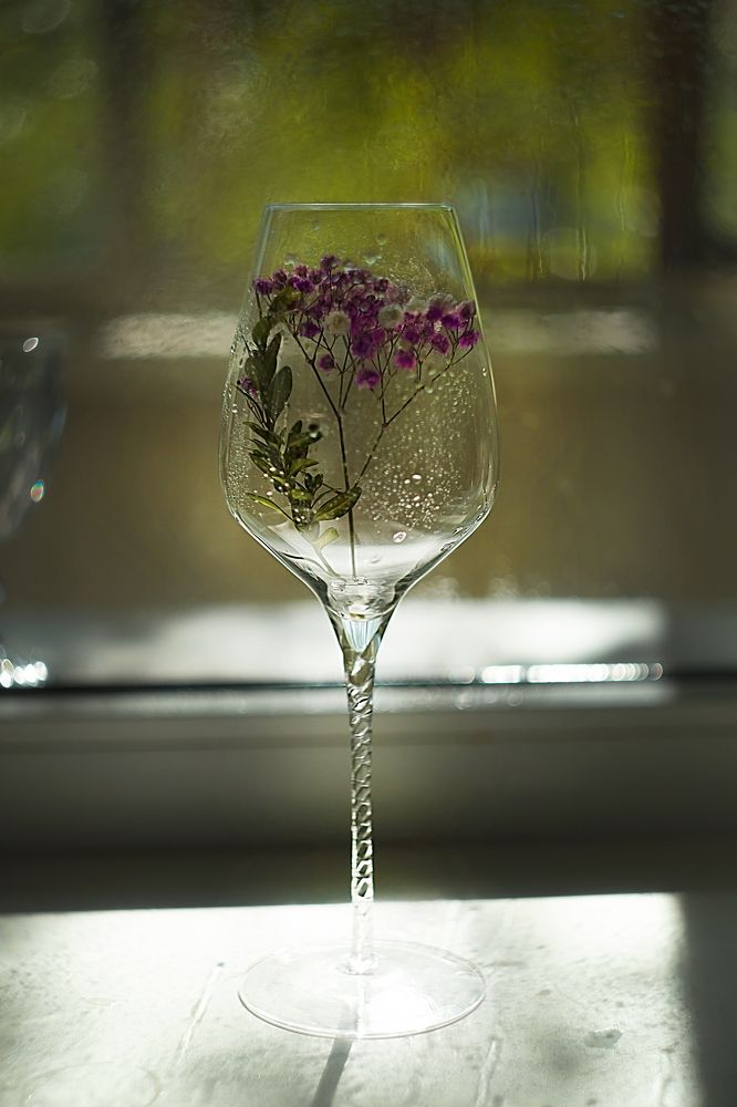 Фотография автора Елена Разина