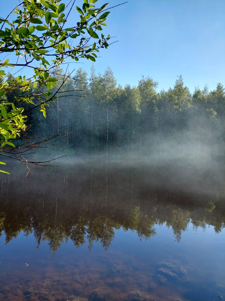 Фотография автора Светлана Дунаева