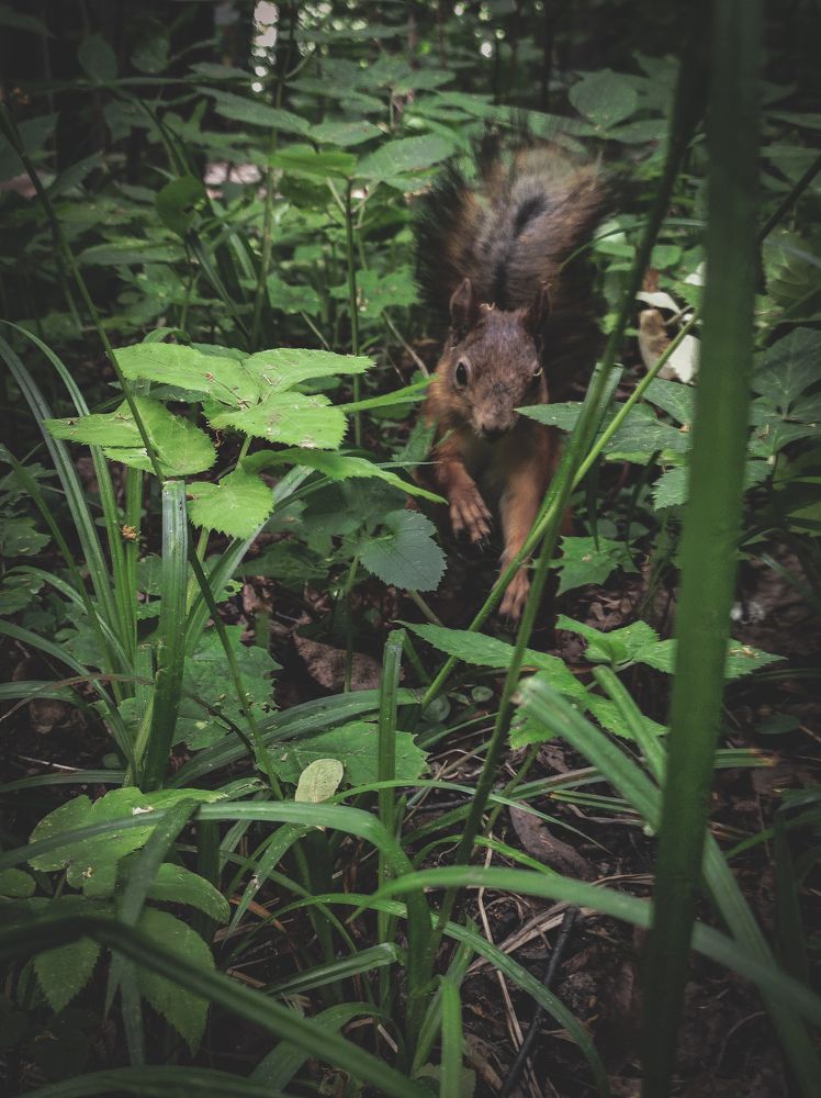 Photograph by Сергей Петров