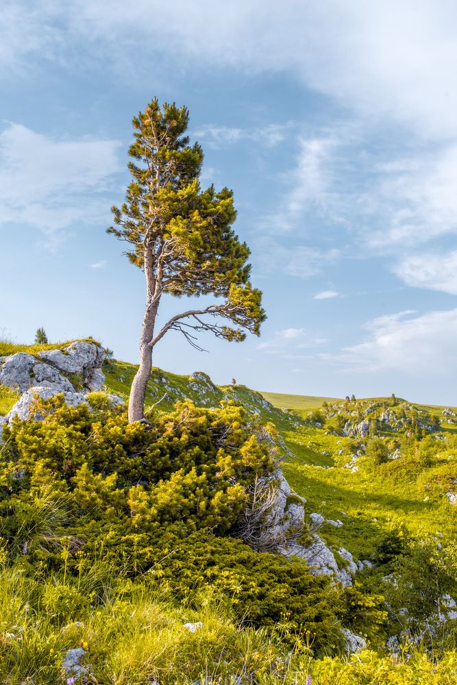 Photograph by Сергей Лексин