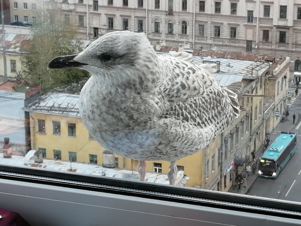 Photograph by Любовь Новикова