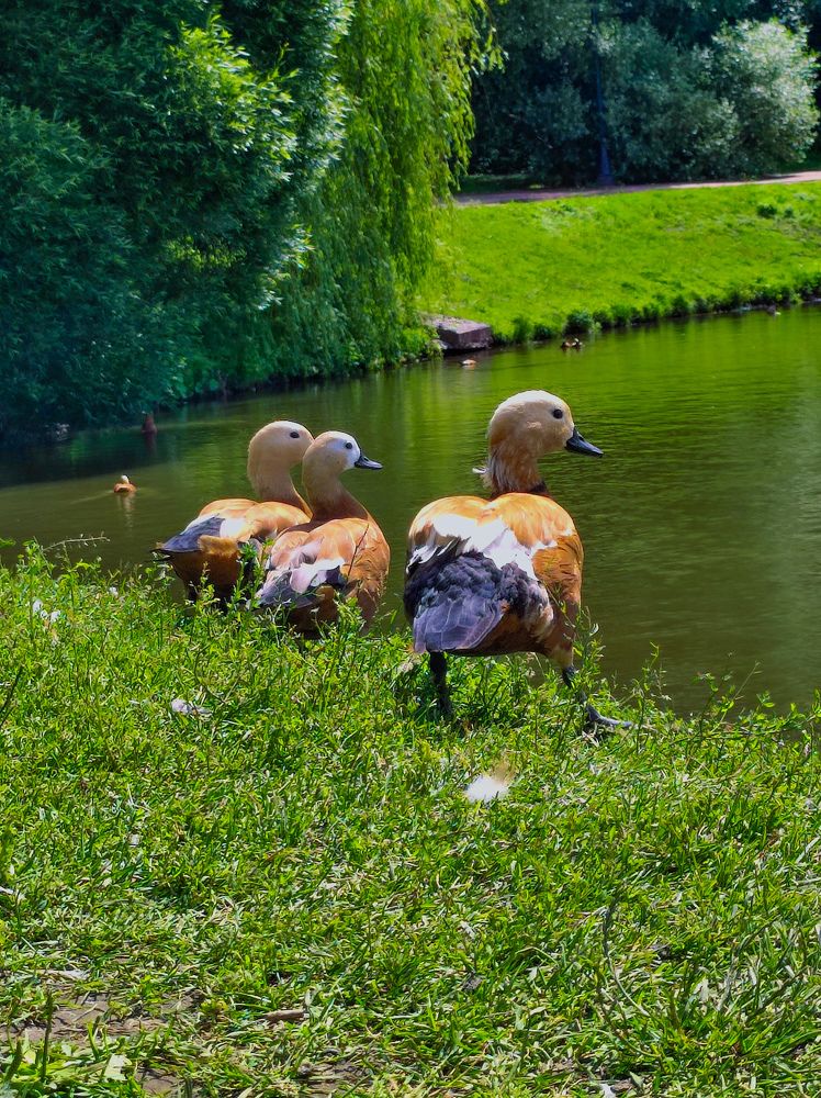 Photograph by Сергей Петров