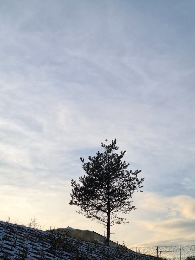 Фотография автора Ирина Дашевская