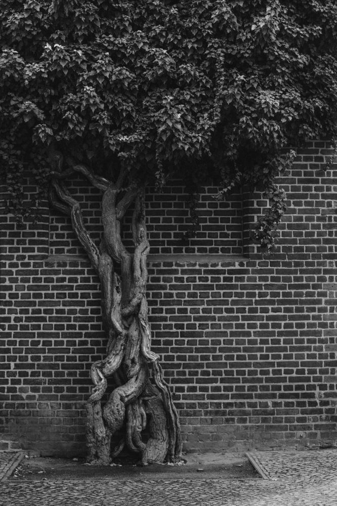 Photograph by Ксения Лаевская