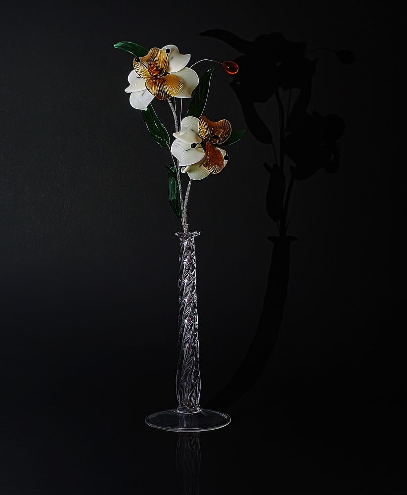 Фотография автора Александр