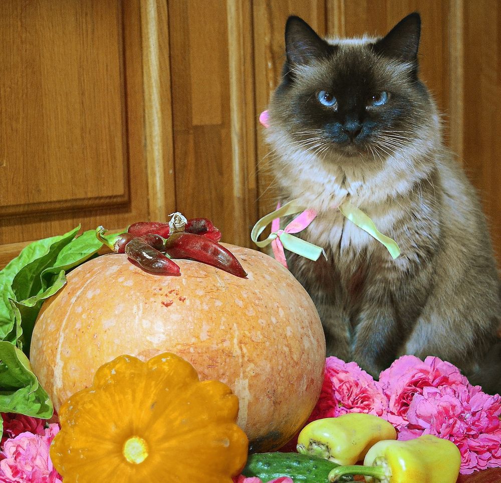 Photograph by Карина Плахова