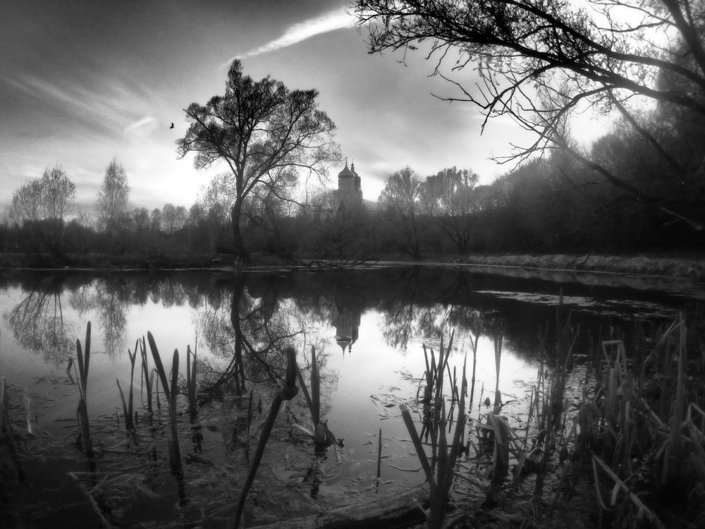 Photograph by Дмитрий Потапов