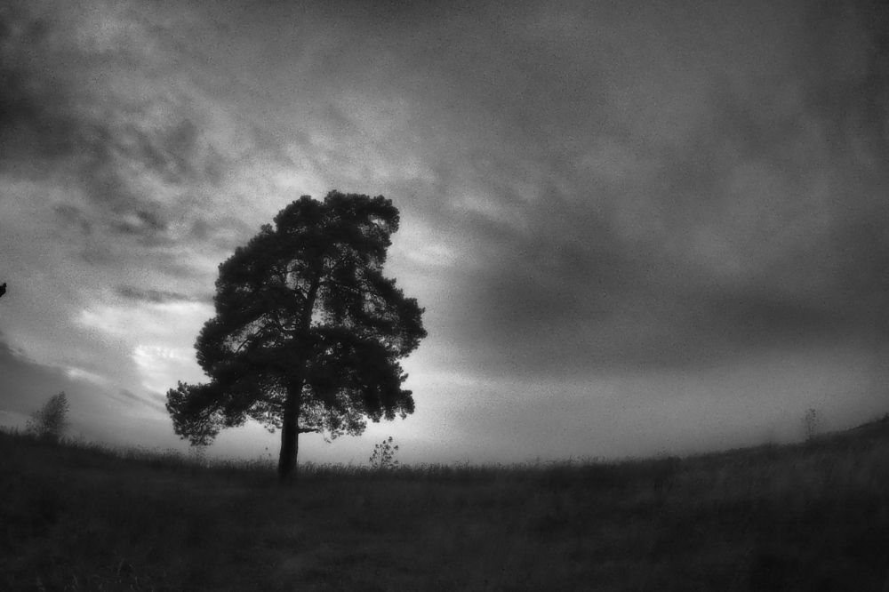 Photograph by Дмитрий Потапов