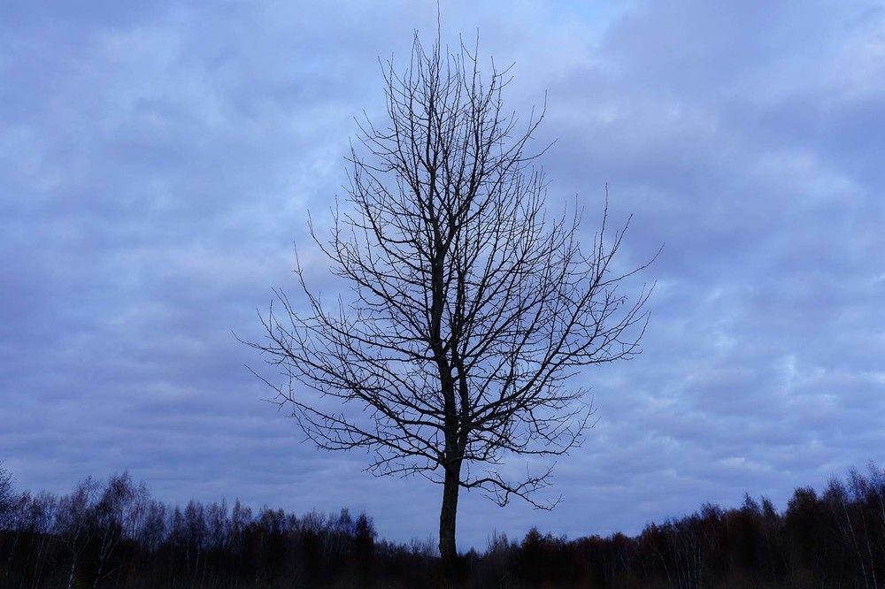 Photograph by Виктория Лаврова