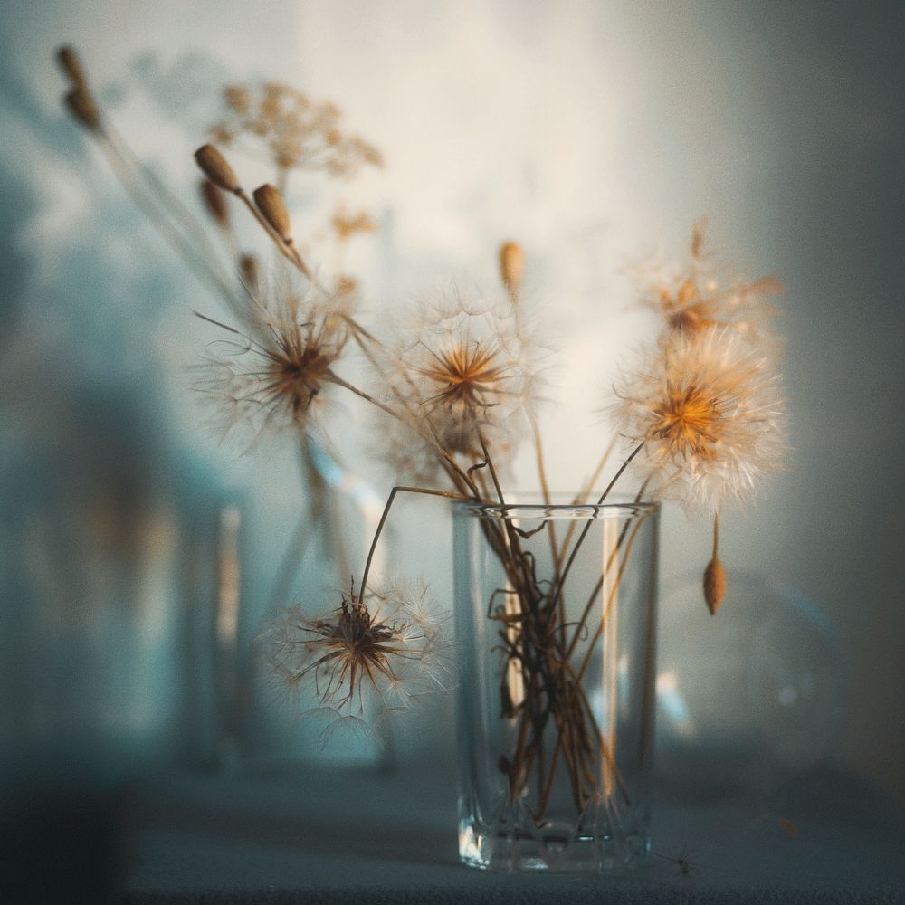 Photograph by Татьяна Максакова