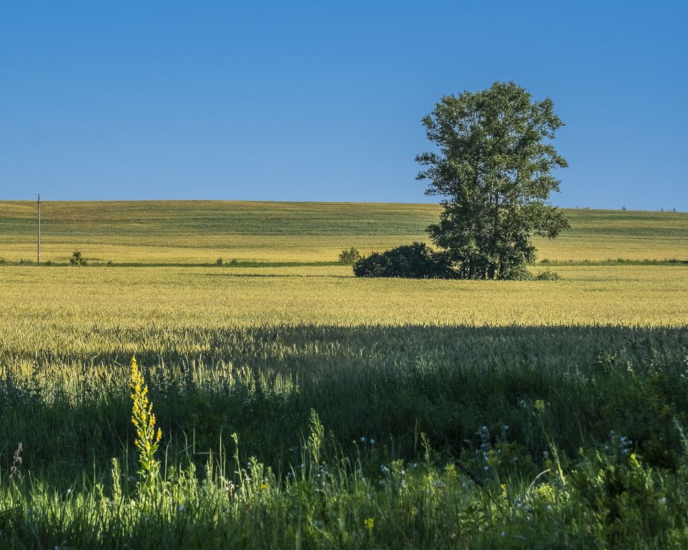 Photograph by Елена Ворошина