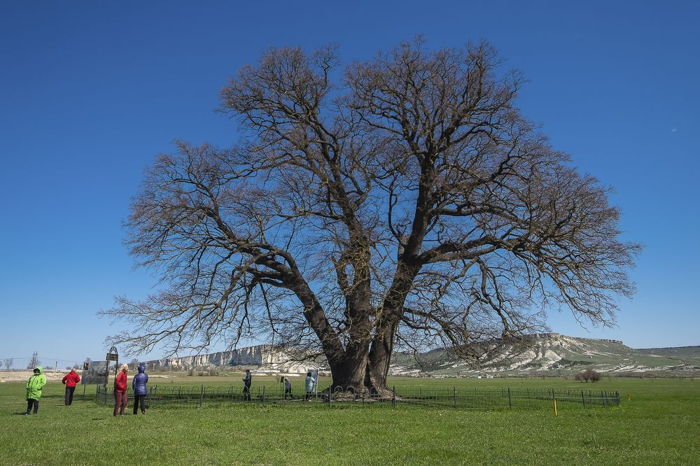 Photograph by Елена Ворошина
