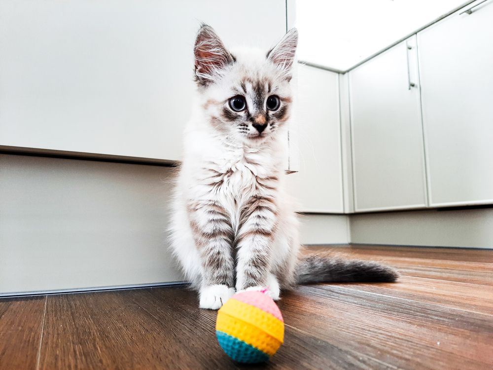 Фотография автора Войнов Дмитрий