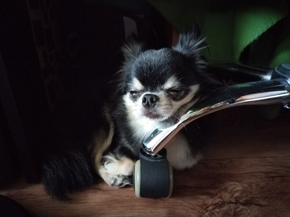 Photograph by Дмитрий Давидов