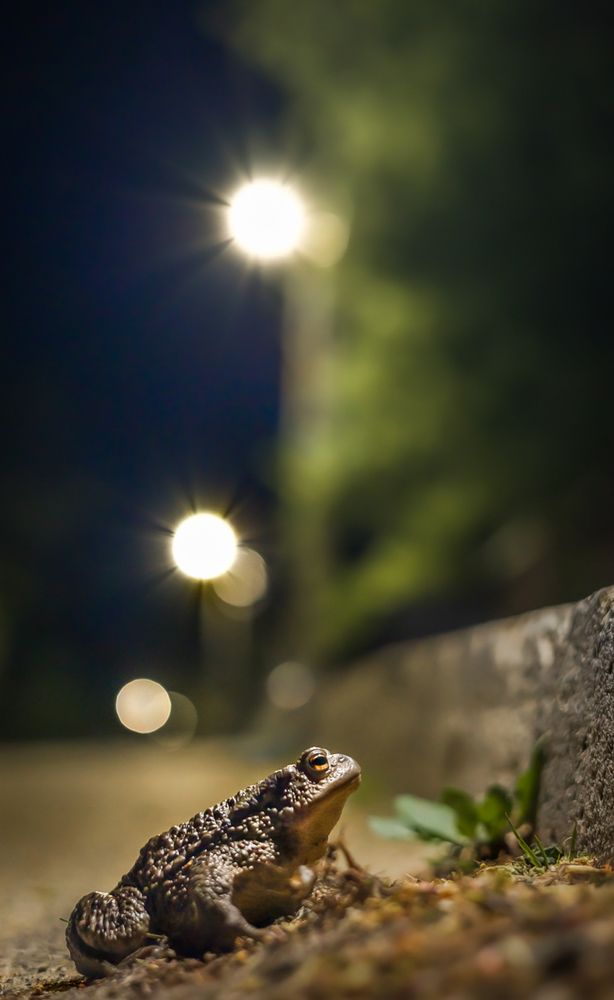 Photograph by Patryk George