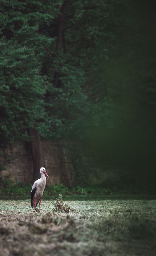 Photograph by Patryk George