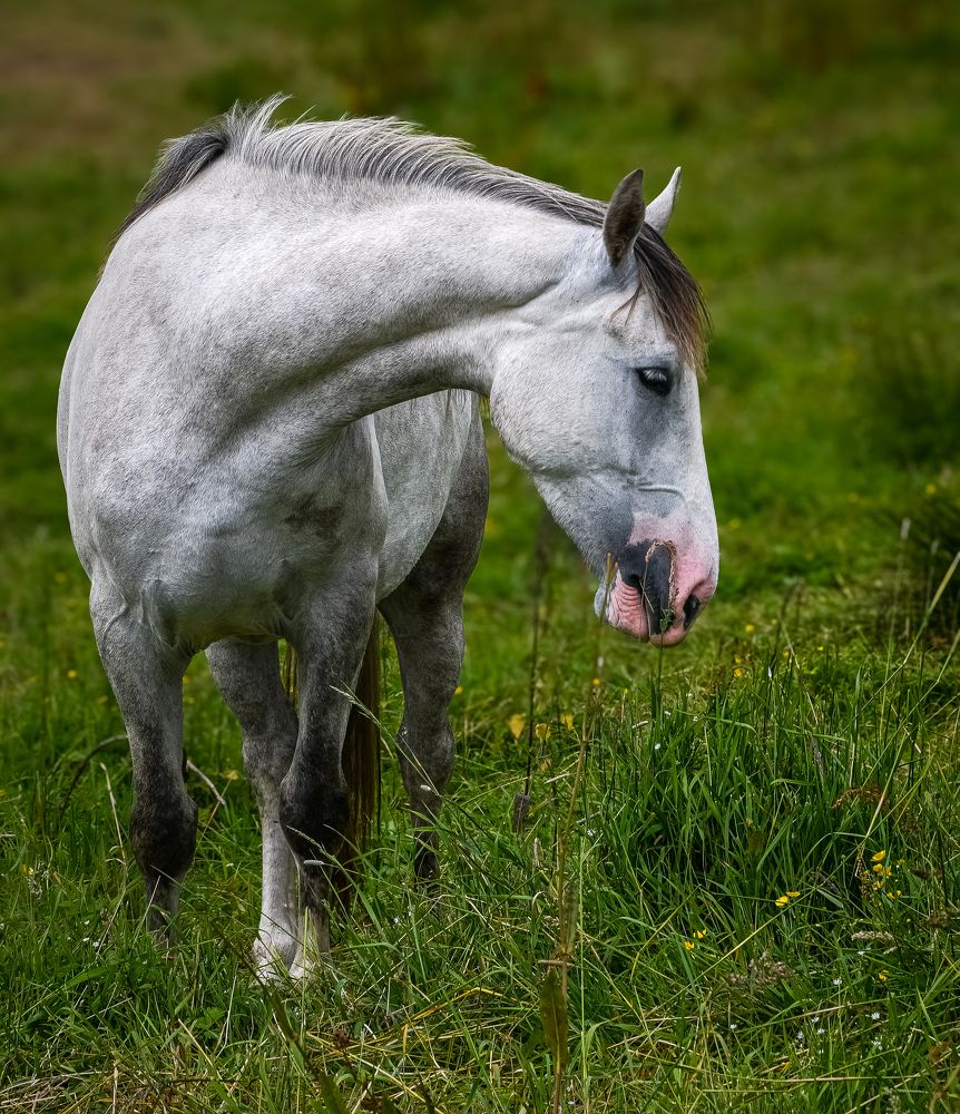 Photograph by Bohatyrov Yuri