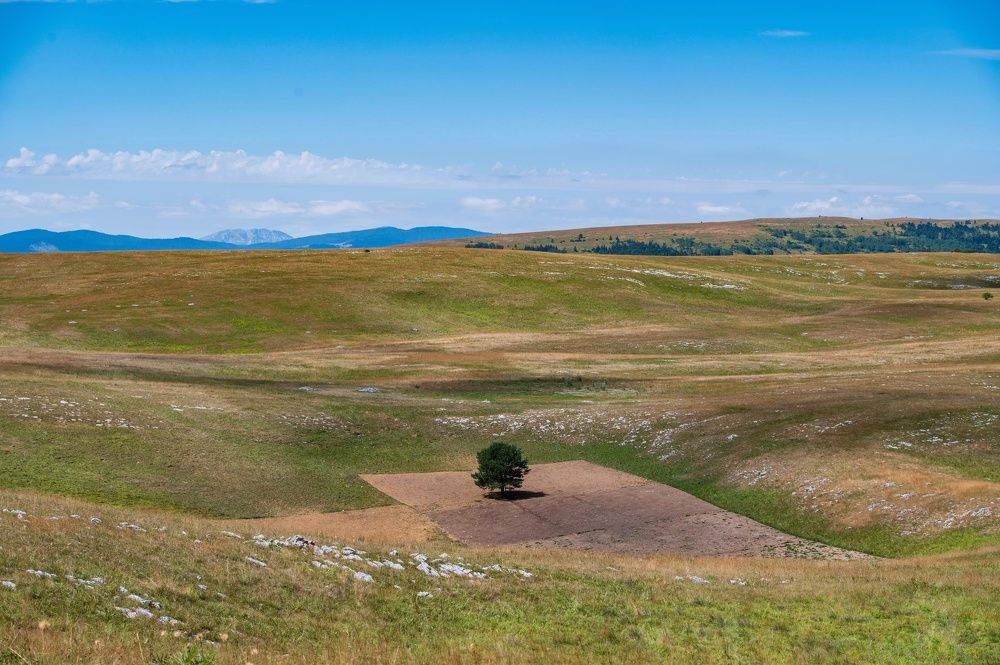 Photograph by Jasmin Džebo